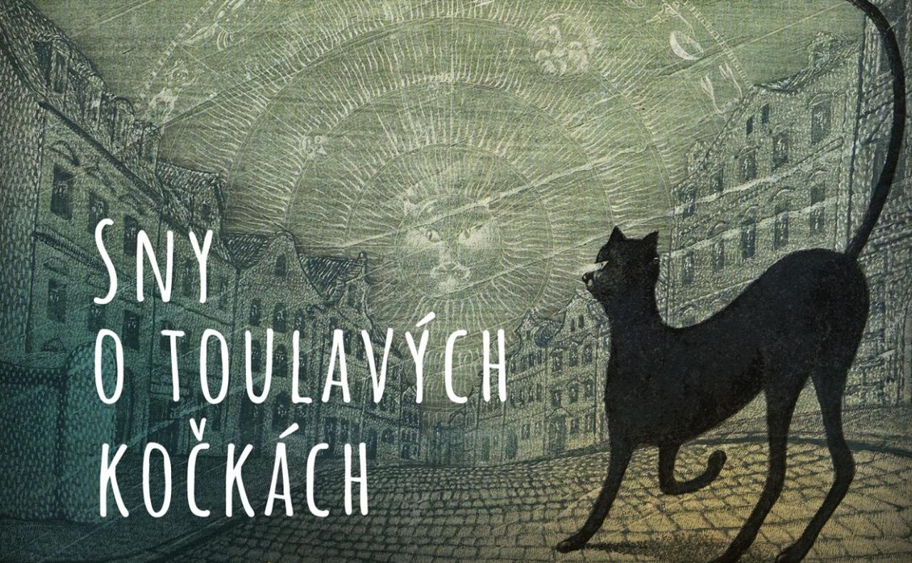 Sny o toulavých kočkách