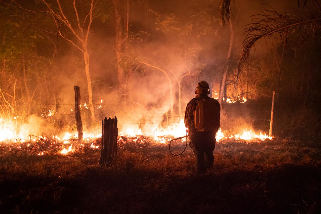 Incendios – Požáry v Amazonii