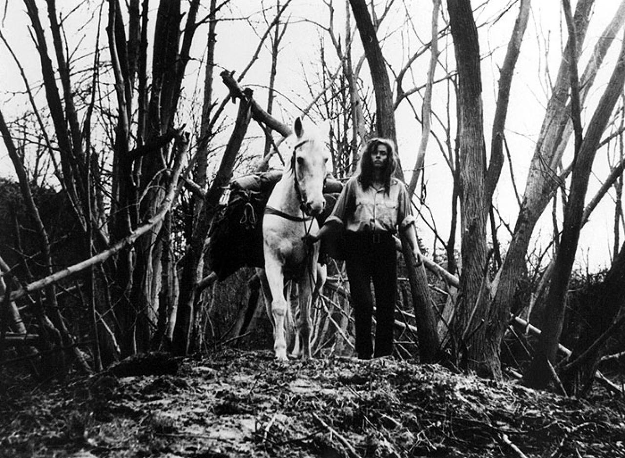 Konec srpna v hotelu Ozon