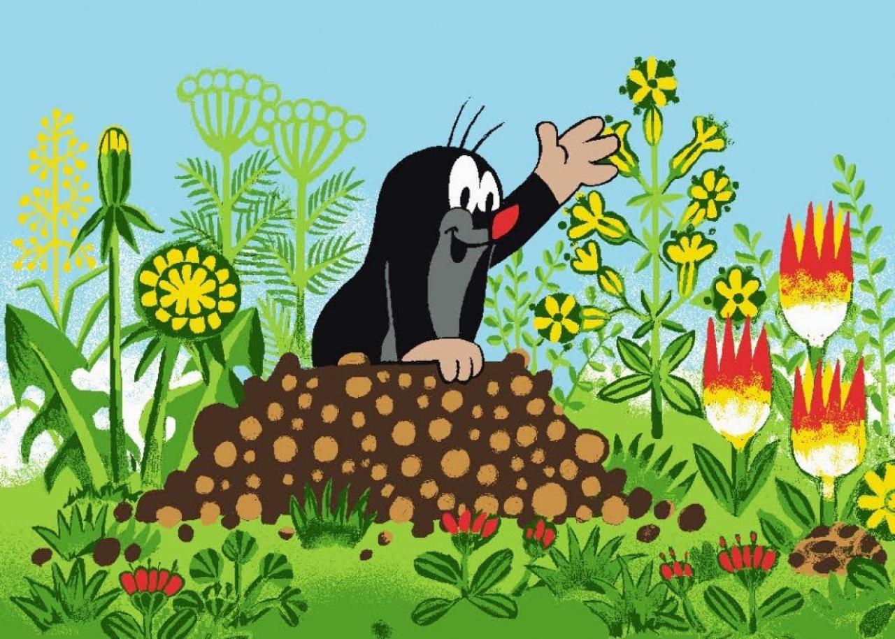 Imprese aneb Východ slunce