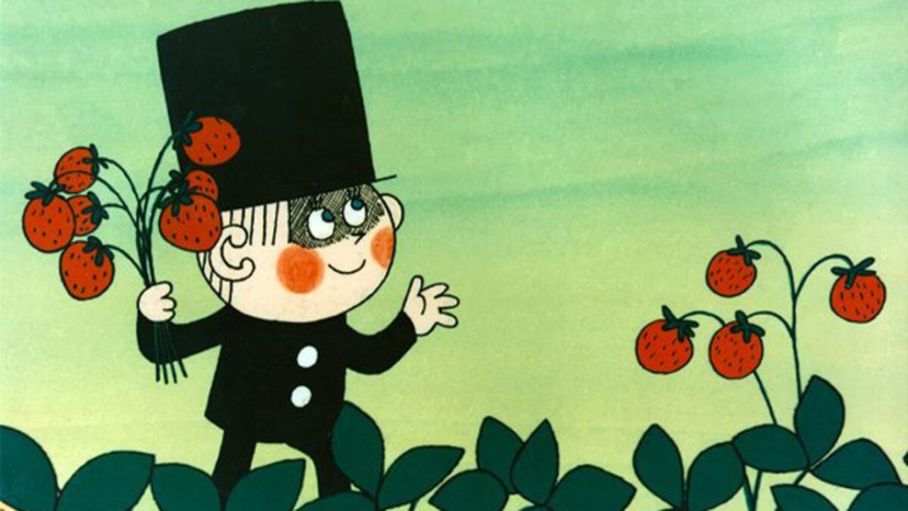 Maškarní zvířátek