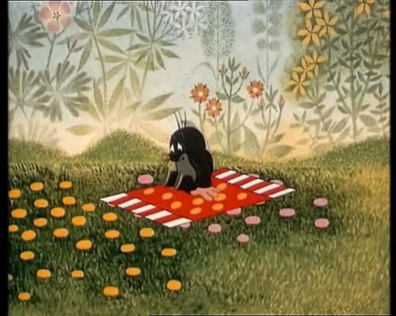 Krteček automobilista