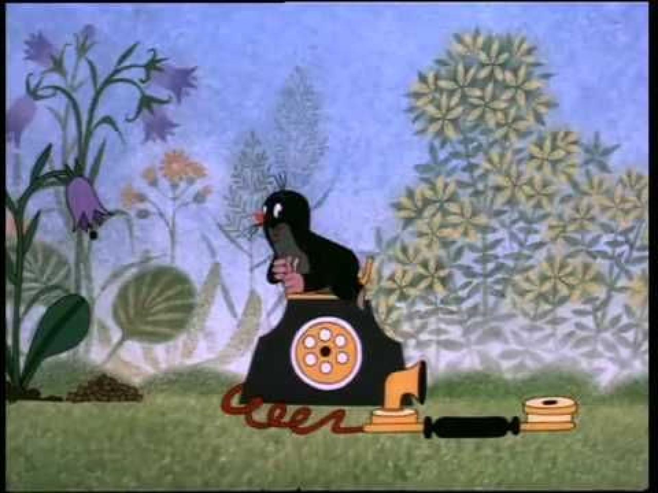 S krtečkem na cestách