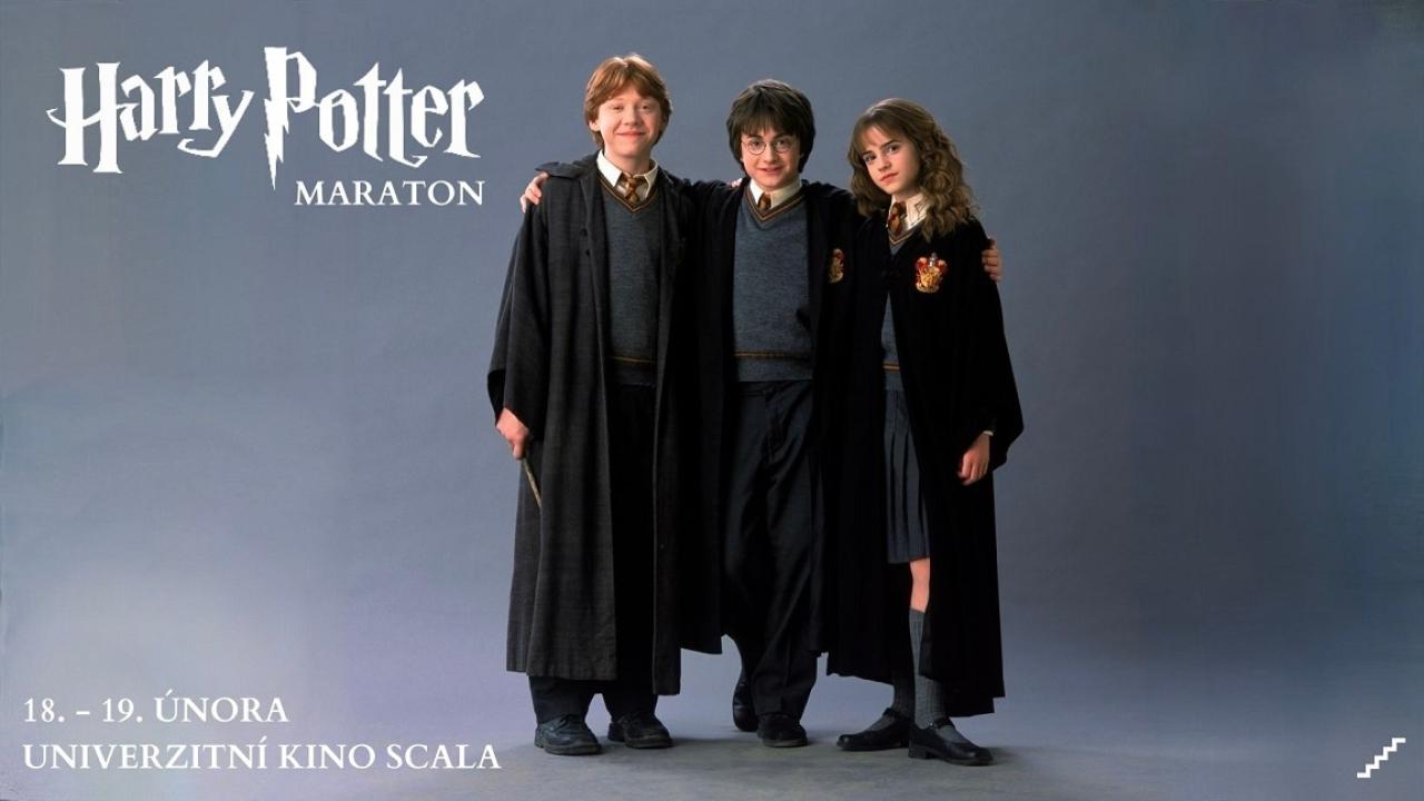 Permanentka na sobotu