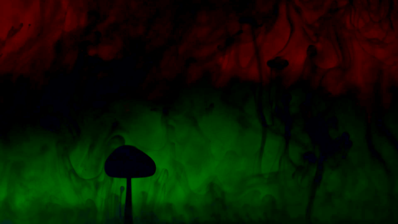 Fantastická terapie