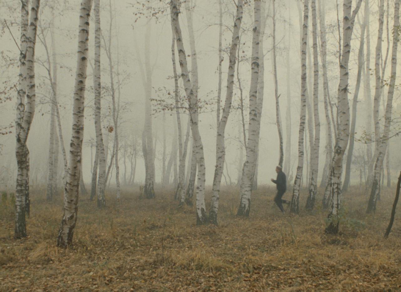 Slavnosti sněženek