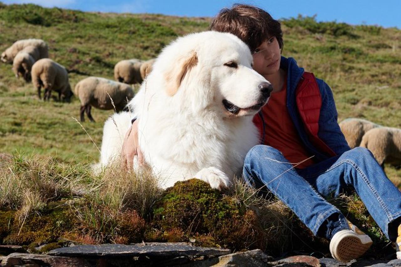 Bella a Sebastian: Nová generace