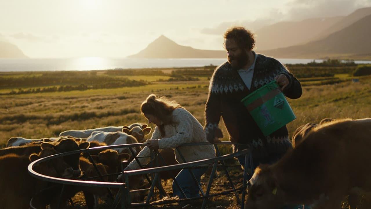 Letní světlo, a pak přijde noc