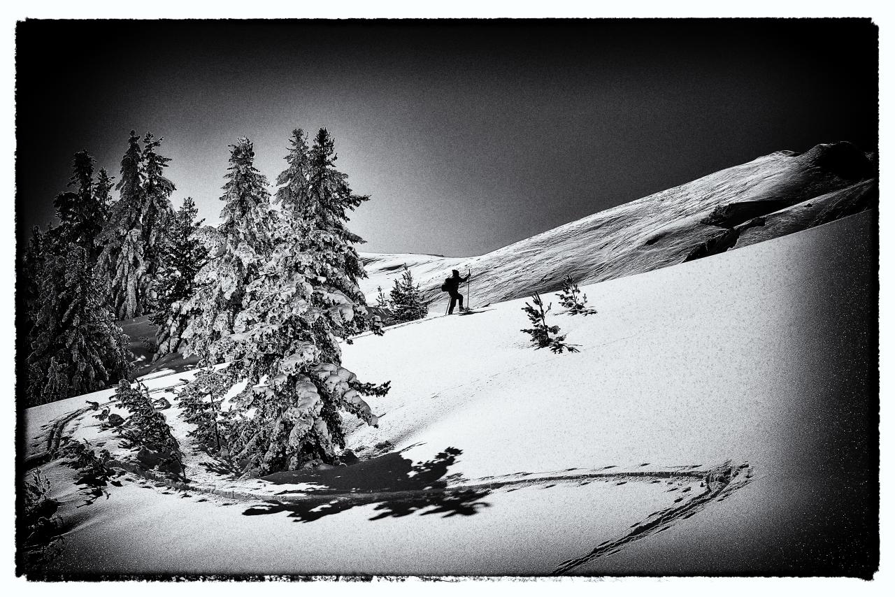 MFOF 2023 - Filmový blok 6