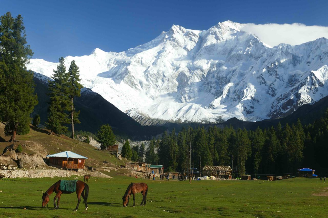Nanga Parbat – treking Pákistán