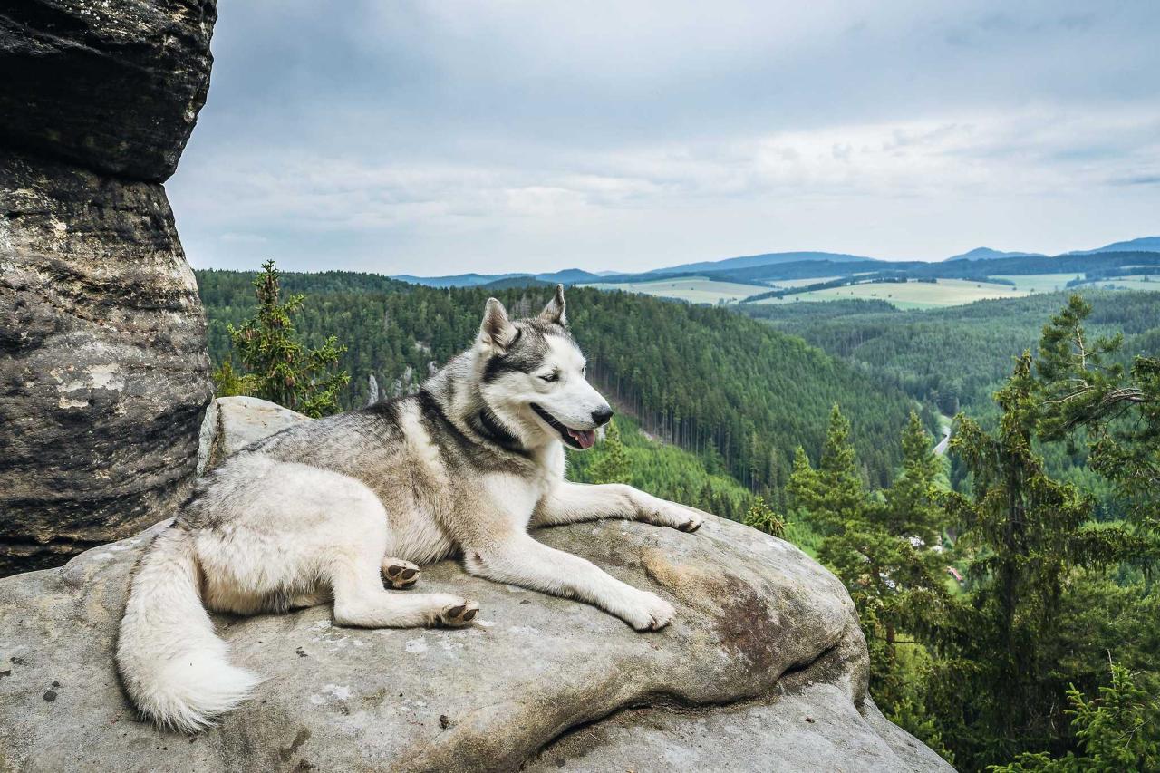 Pacifickou hřebenovkou natěžko i nalehko