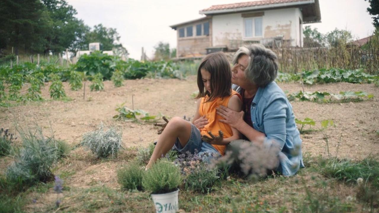 20 tisíc druhů včel