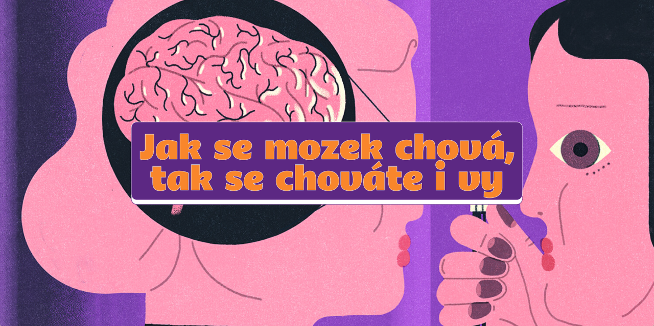 Jak se mozek chová, tak se chováte i vy