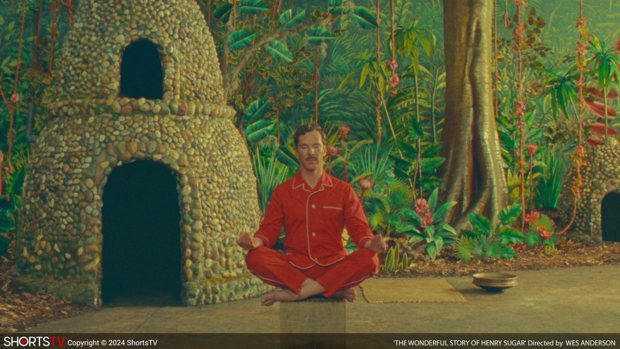 iShorts: Krátké filmy 2024 nominované na Oscara, Hrané