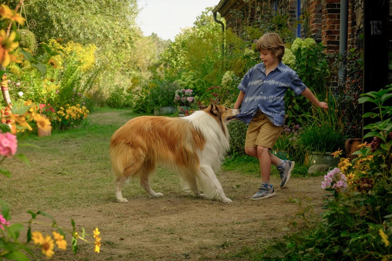 Lassie: Nové dobrodružství