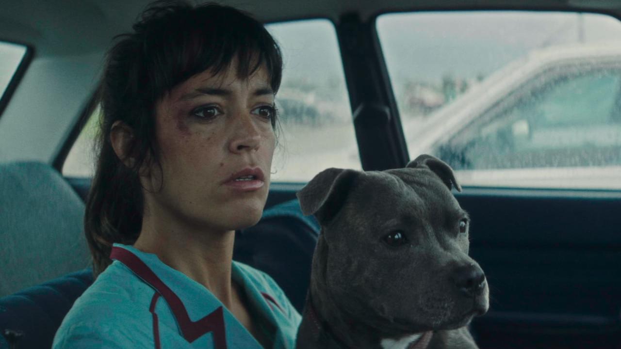 Vincent musí zemřít