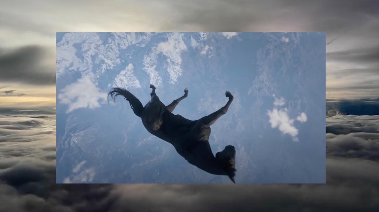 Masterclass: NEOZOON – Nic roztomilého k vidění