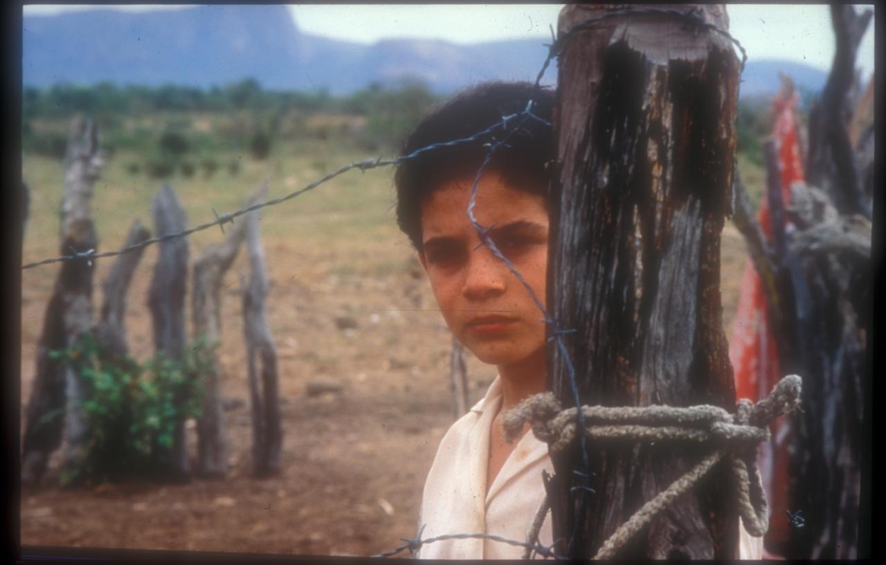 Oscarová Brazílie double feature