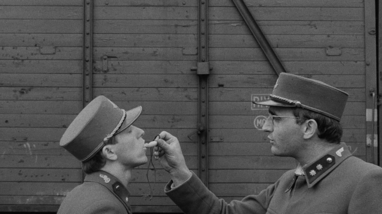 Ostře sledované vlaky