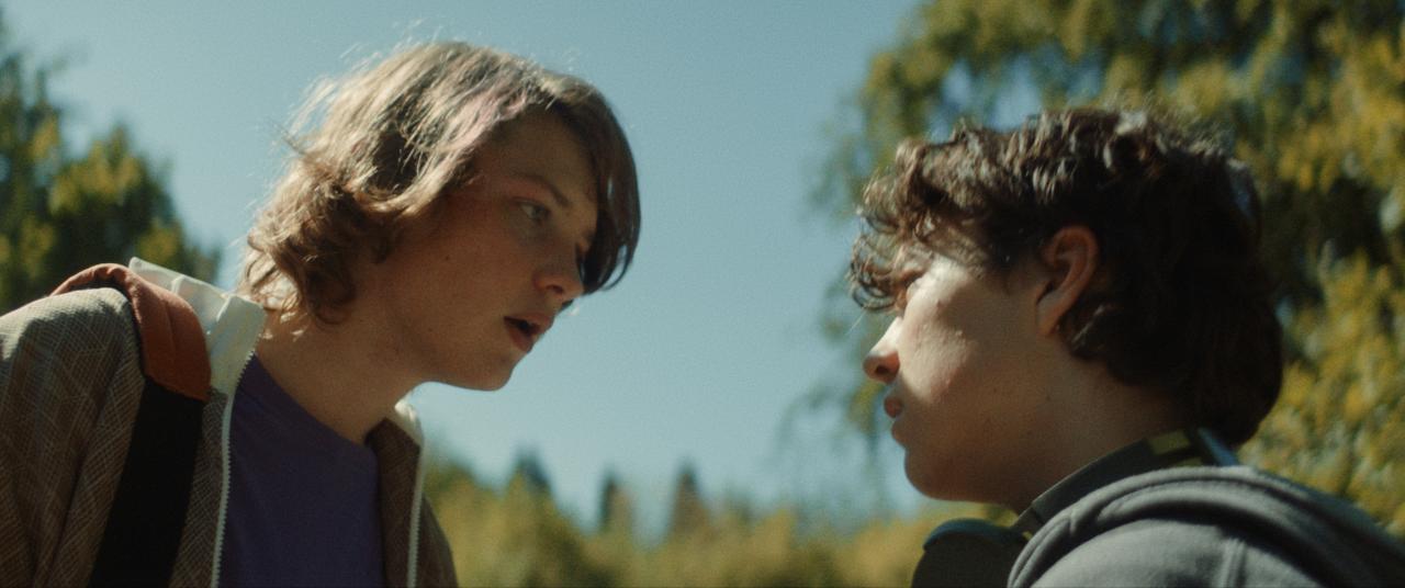 Psům vstup zakázán