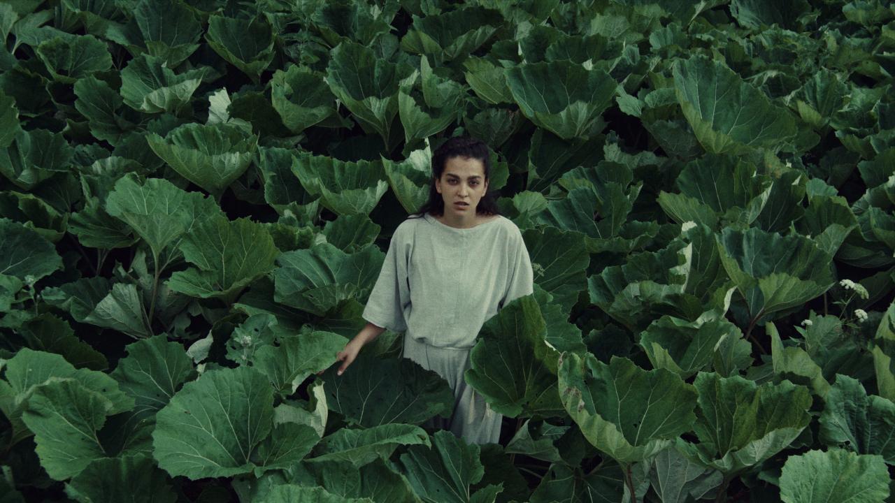 Národní soutěž 3