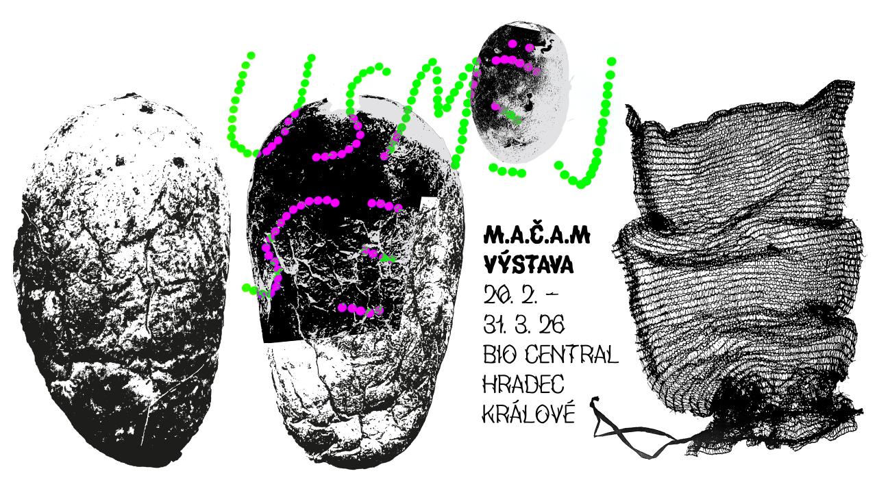 Vernisáž - M.A.Č.A.M výstava Usměj se