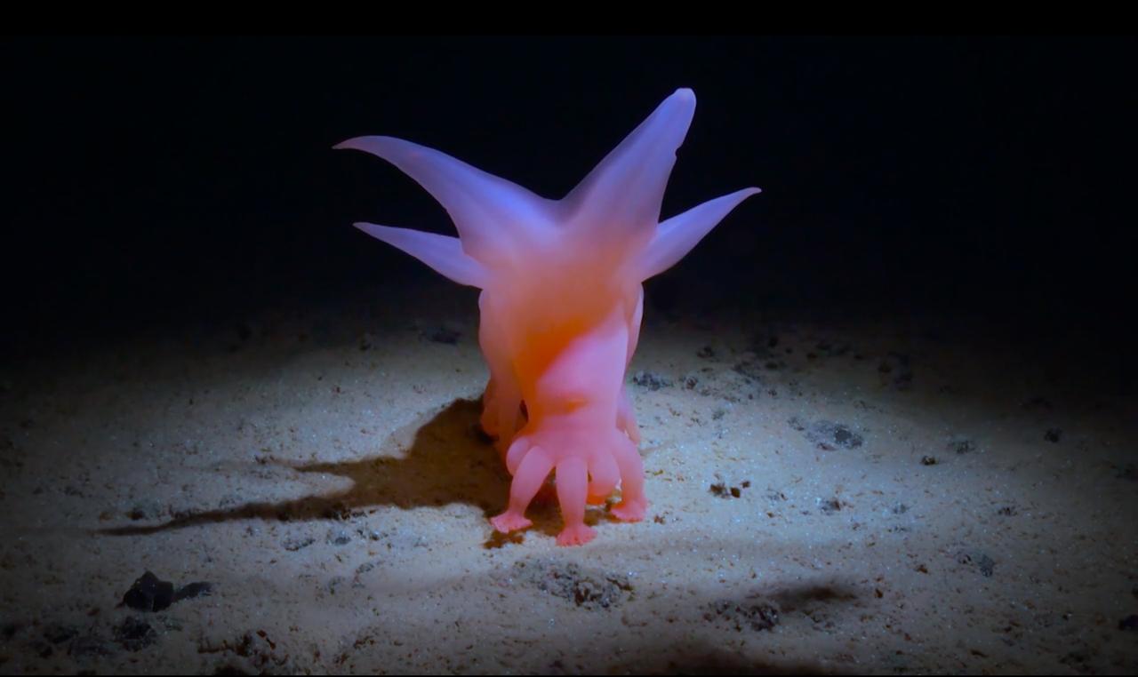 Voda, co mě drží pod vodou