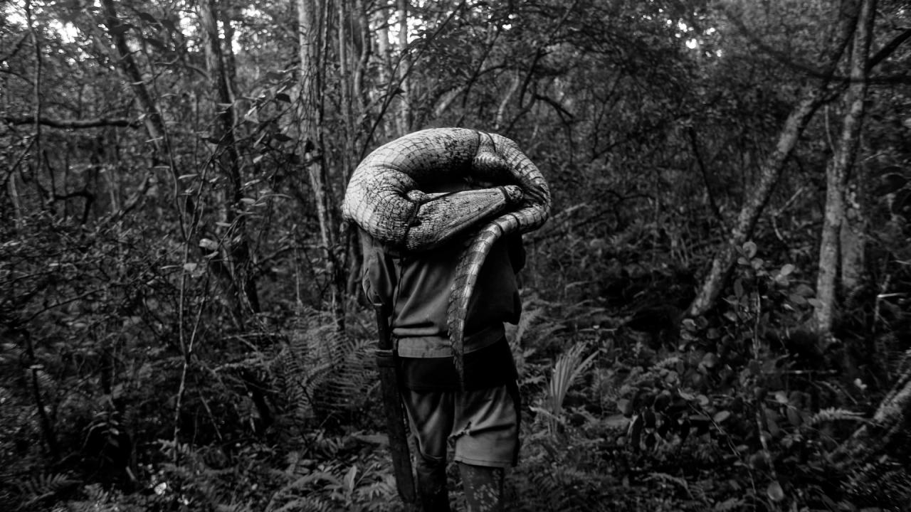 Na západ, do Zapaty